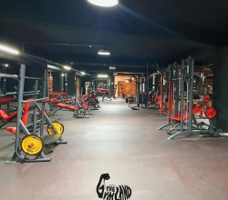 THE GYMLAND